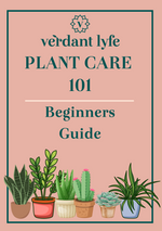 FREE Plant Care 101 Guide