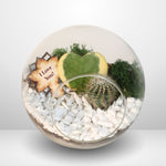 Sweet Heart Terrarium Kit