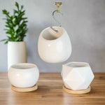 Minimalistic Ceramic White Signature Planter Bundle