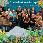 Succulent Arrangement Workshop - Thursday, August 15th at 6:00 pm